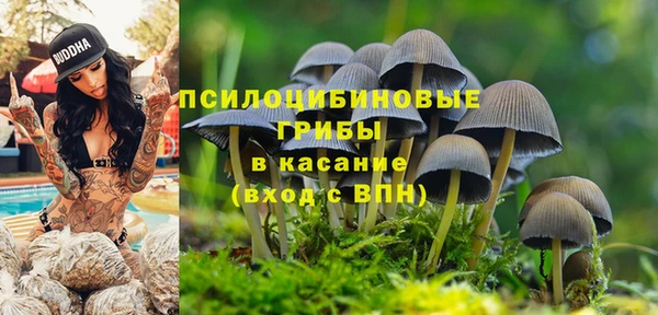 гашиш Балахна