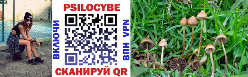 продажа наркотиков  Нижняя Тура  Галлюциногенные грибы Psilocybe 